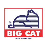 Big Cat