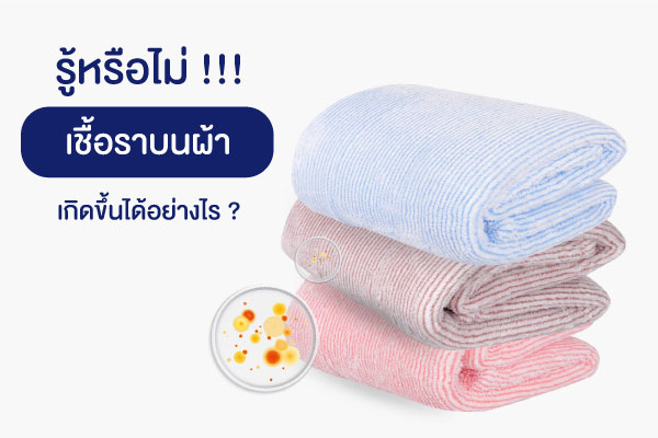 ผ้าโพลีเอสเตอร์ ผ้าห่มโพลีเอสเตอร์ ผ้าโพลี