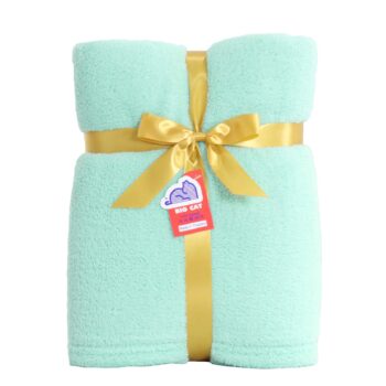 ผ้าห่มนาโน รุ่นฟีโน่ สีเขียวมินท์