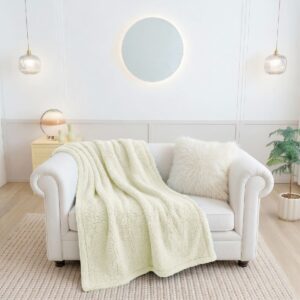 1058-Sherpa300 - 3